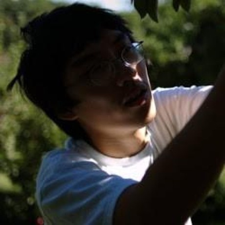 icon for mcp server